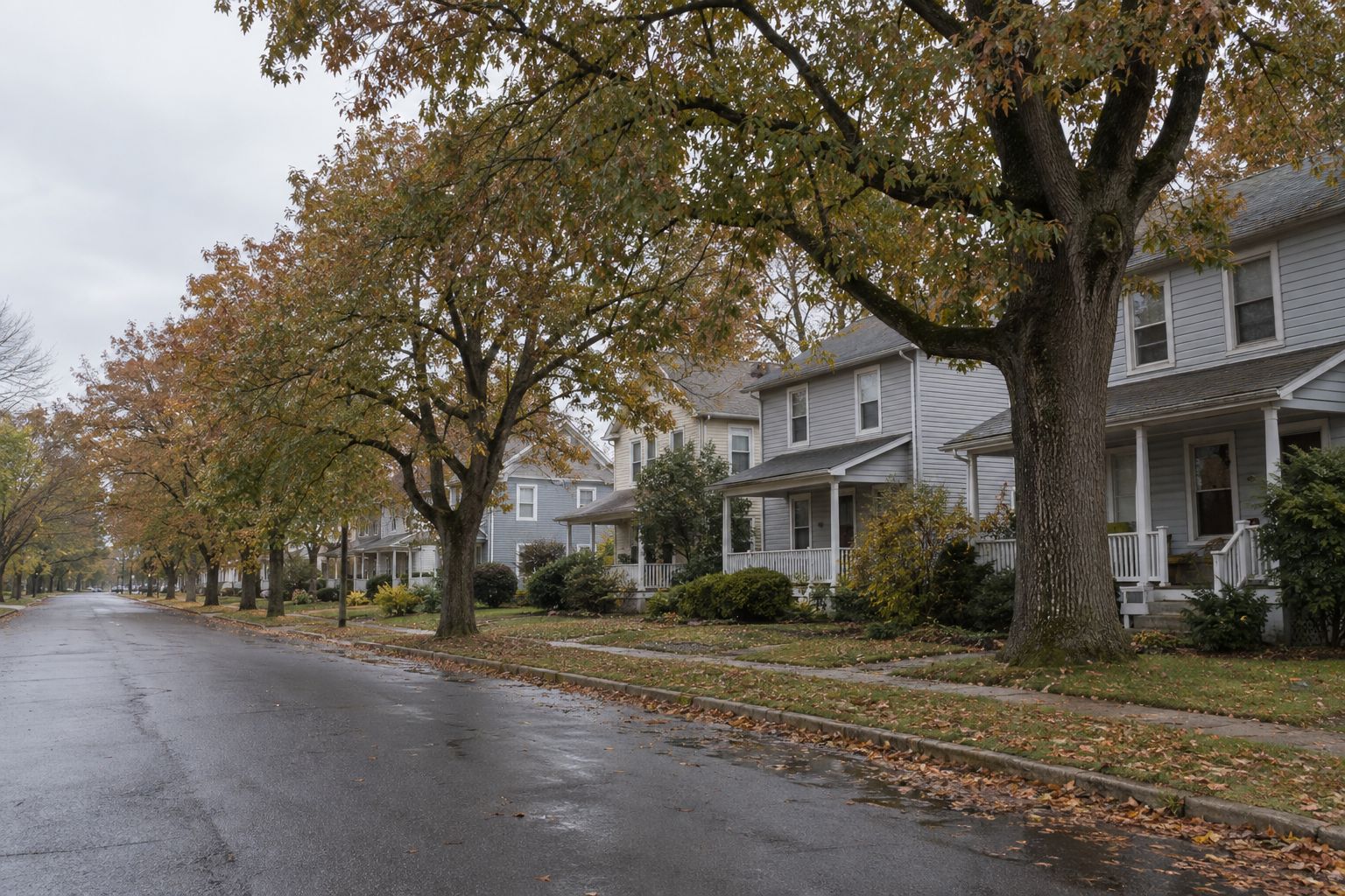 A street of older two-story clapboard houses with covered front porches, under large trees turning in autumn, fallen leaves on a damp road