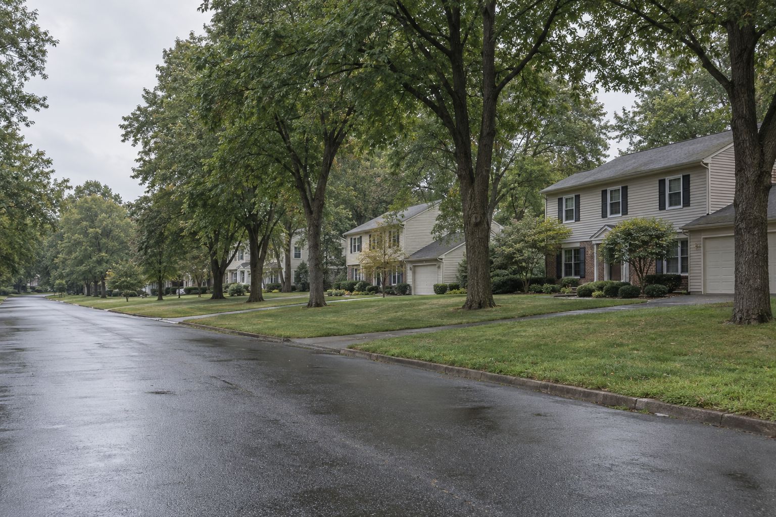 Two-story colonial-style houses with dark shutters set back behind wide lawns and tall shade trees, along a damp street on a grey late-summer day