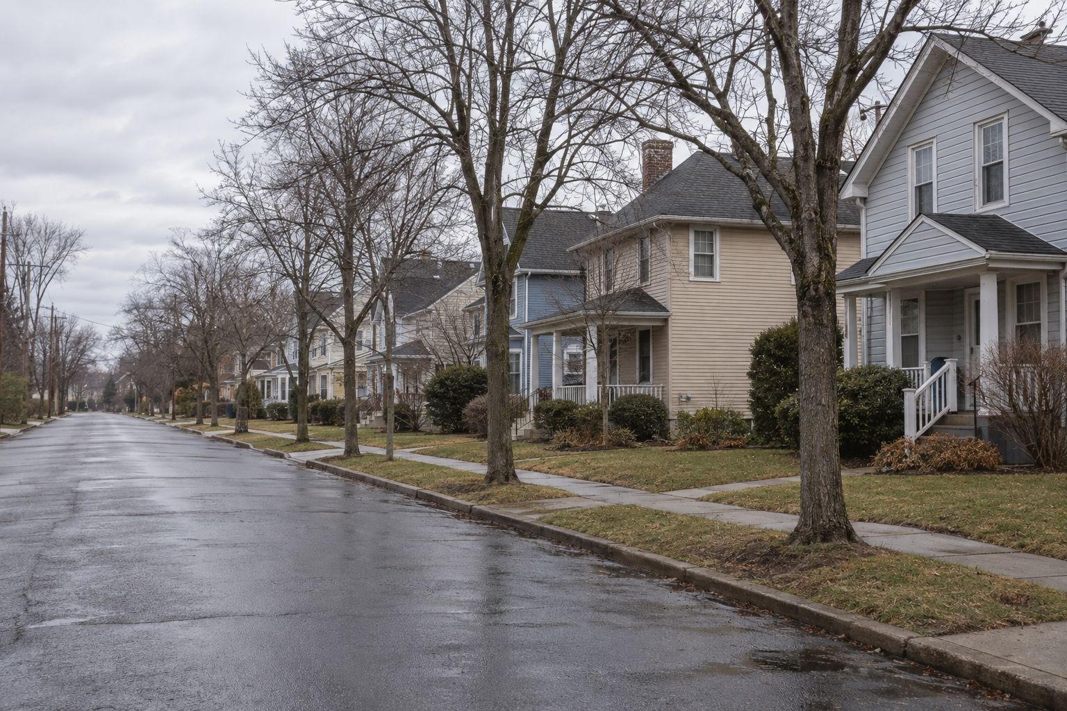 A long, straight street of narrow two-story clapboard houses with front porches and short paths, bare trees along the sidewalk on a grey winter day