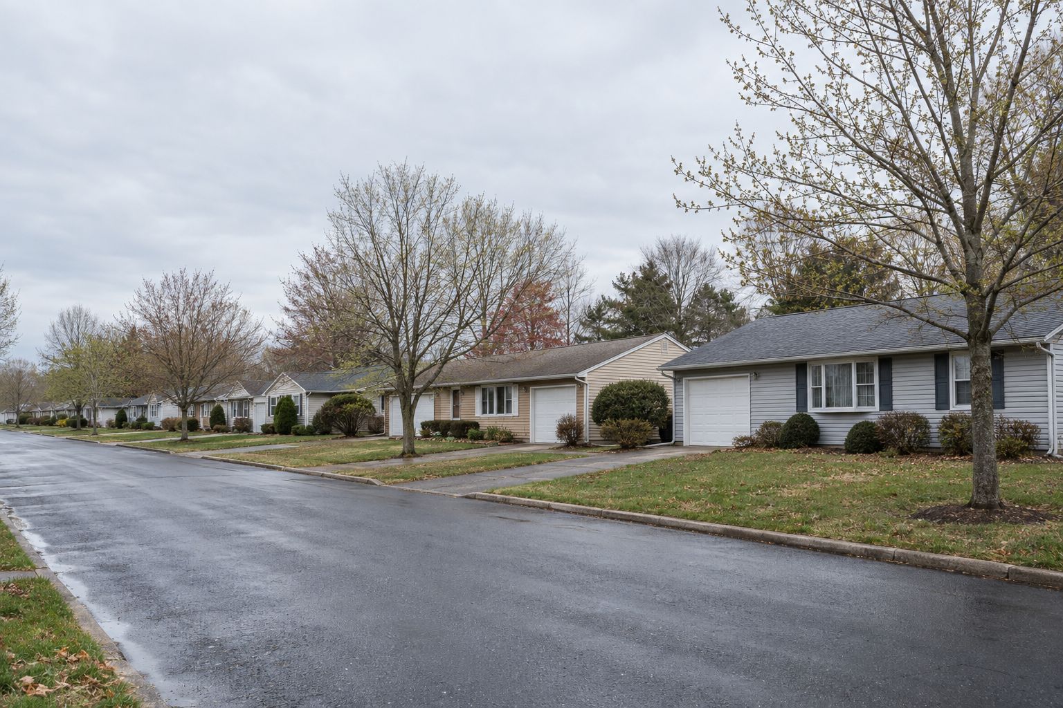 A quiet residential street of single-story houses with attached garages on an overcast spring morning