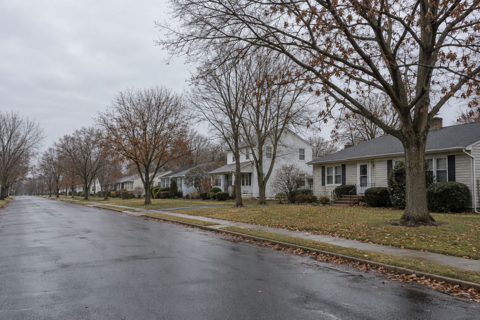 A quiet residential street of modest one- and two-story homes under bare oaks on an overcast late-autumn morning